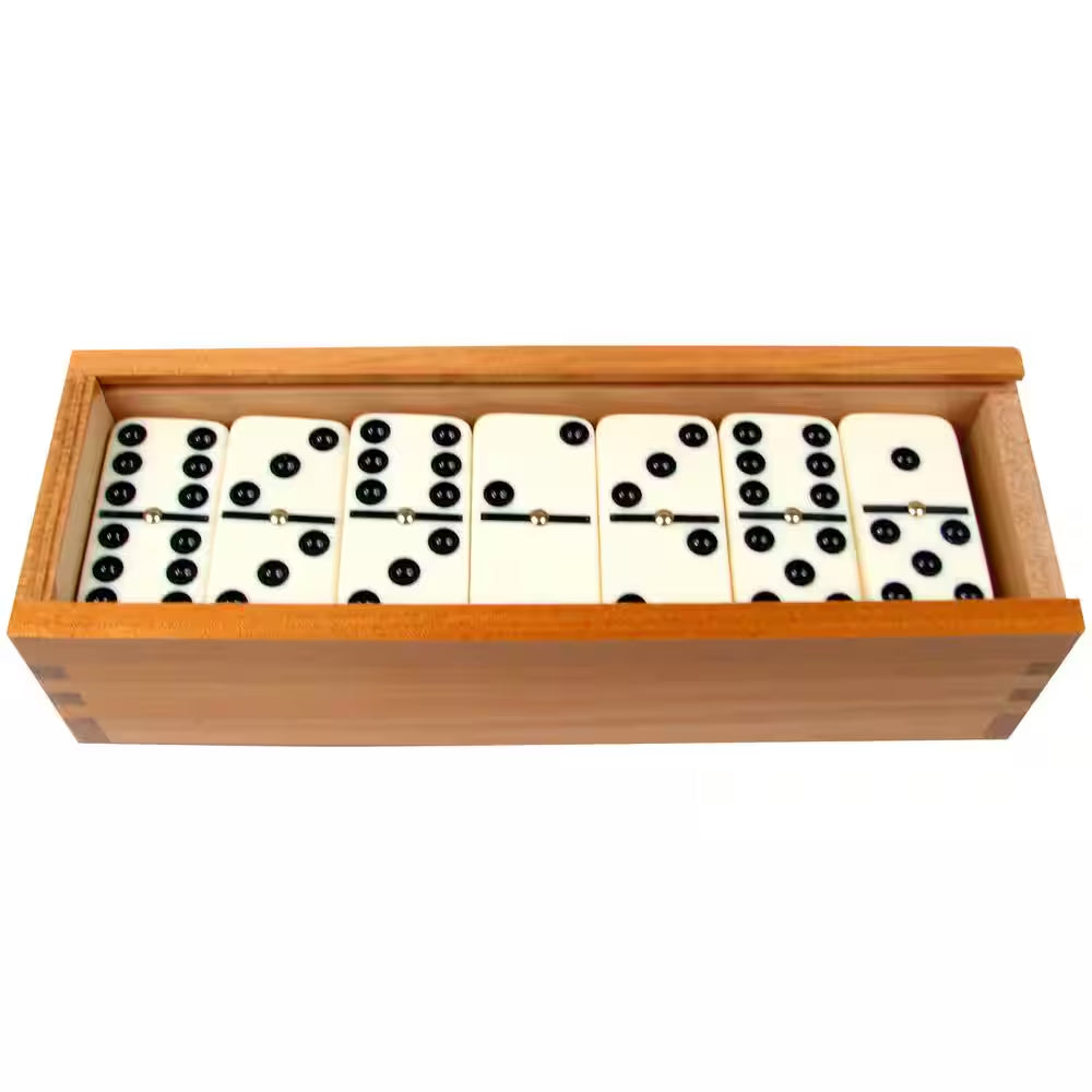 28-Piece Double-Six Dominoes Set with Case